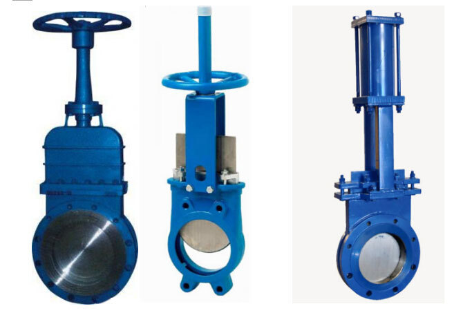 21014331443_794659169 (1).jpg